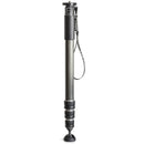 Gitzo GM4542 Series 4 Carbon Fiber Monopod