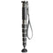 Gitzo GM4562 Series 4 Carbon Fiber Monopod