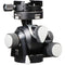 Arca-Swiss d4 Tripod Head with a Classic Knob Quick Release (Geared)