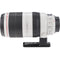 Really Right Stuff LCF-54 Foot for Canon 100-400mm f/4.5-5.6L IS II USM Lens