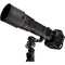 Really Right Stuff Monopod Head with Indexing Lever-Release Clamp