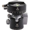 Really Right Stuff BH-40 Ball Head with Lever-Release Panning Clamp