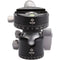 Really Right Stuff BH-40 Ball Head with Screw-Knob Panning Clamp