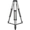 Sirui BCT-3202 Professional 2-Section Carbon Fiber Video Tripod with 100mm Bowl