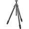 Gitzo GT3532 Mountaineer Series 3 Carbon Fiber Tripod with 3-Way Fluid Head Kit