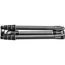 Gitzo GT2545T Series 2 Traveler Carbon Fiber Tripod with Center Ball Head