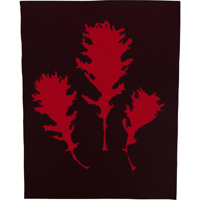 Cyanotype Store Cyanotype Paper (8 x 10", Cherry Red, 12 Sheets)