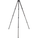 ProMediaGear TR344L 34mm Series 71" Pro-Stix Carbon-Fiber Tripod with Top Plate