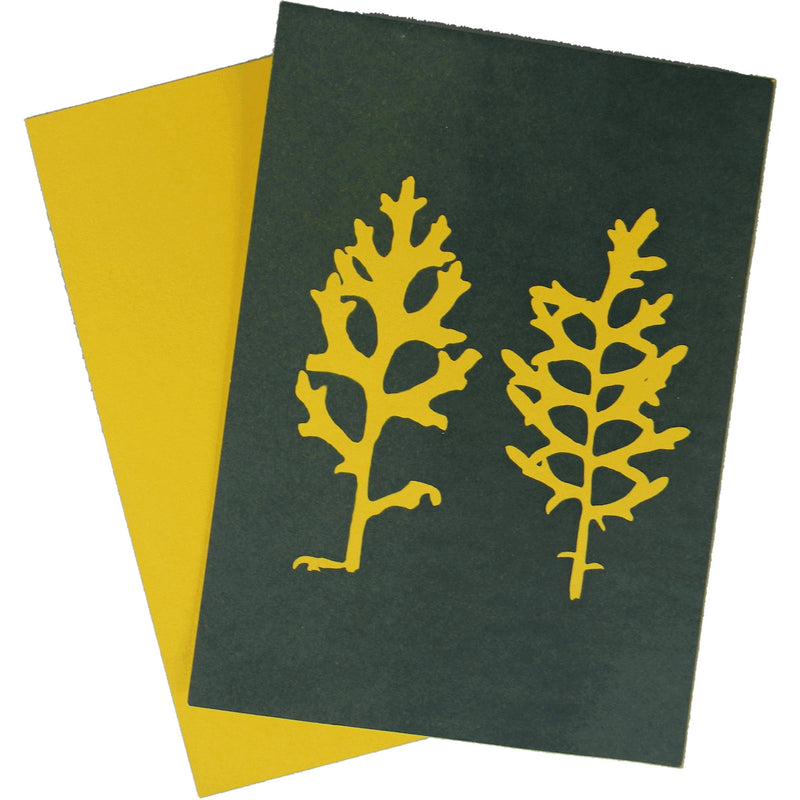 Cyanotype Store Cyanotype Paper (5 x 7", Lemon Yellow, 12 Sheets)