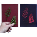 Cyanotype Store Cyanotype Paper (5 x 7", Cherry Red, 48 Sheets)