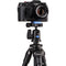 Benro TSL08AN00 Slim Aluminum-Alloy Tripod with Ball Head