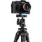 Benro TSL08CN00 Slim Carbon-Fiber Tripod with Ball Head