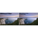 LEE Filters 100 x 100mm ProGlass IRND 0.6 Filter (2-Stop)