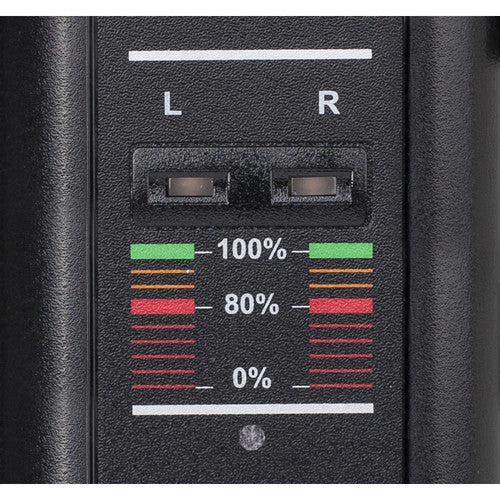 SWIT Dual-Channel Gold Mount Charger (2 x 3A)