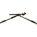 Acebil TSI-284CE Carbon Fiber Tripod with BH-12 Ball Head