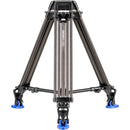 Benro BV8H Video Head with Carbon Fiber Legs Kit with Half Ball Adapter