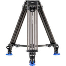 Benro BV10H Video Head with Carbon Fiber Legs Kit with Half Ball Adapter