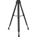 Vinten System Vision blue3 Head with Flowtech 75 Carbon Fiber Tripod, Mid-Level Spreader, and Rubber Feet