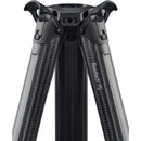 Vinten System Vision blue3 Head with Flowtech 75 Carbon Fiber Tripod, Mid-Level Spreader, and Rubber Feet