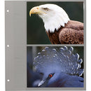 Pioneer Photo Albums Refill Pages for WF-5781 Wedding Album (5 x 7", 5-Sheets)