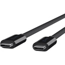 Belkin USB 3.1 Type-C to USB 3.1 Type-C Cable (100W/5A Rated, 3.3')