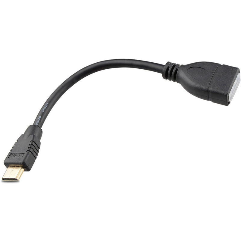 CAMVATE HDMI Mini Type-C Male to HDMI Type-A Female Adapter Cable (6")