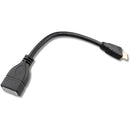 CAMVATE HDMI Mini Type-C Male to HDMI Type-A Female Adapter Cable (6")