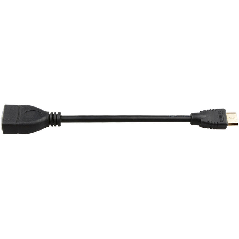 CAMVATE HDMI Mini Type-C Male to HDMI Type-A Female Adapter Cable (6")