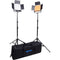 Bescor FP-900 Bi-Color LED Wirelessly Controlled 2-Light Kit with Battery