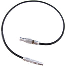 HEDEN Camera Control Cable for CARAT System (Sony)