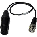 PSC 3-Pin Female XLR to BNC Timecode Input Cable (1')