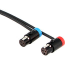 Cable Techniques Right Angle TA5F to Two Low-Profile TA3F Cable for Lectrosonics SRc5P/SRb5P Receiver Output (15")