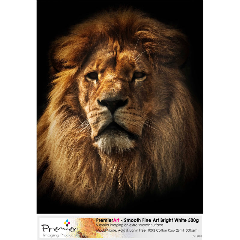 Premier Imaging Smooth Fine Art Bright White Paper (500 gsm, 17 x 22", 20 Sheets)