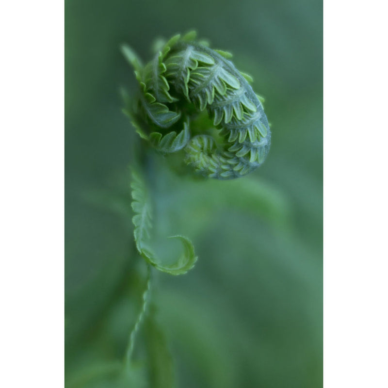 Lensbaby 46mm Macro Filter Kit