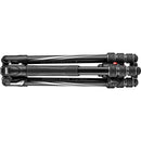 Manfrotto Befree GT Travel Aluminum Tripod with 496 Ball Head (Black)