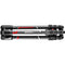 Manfrotto Befree Advanced Carbon Fiber Travel Tripod with 494 Ball Head (Twist Locks, Black)