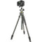 Vanguard Alta Pro 2+ Carbon Fiber Tripod with BH-100 Ball Head