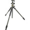 Vanguard Alta Pro 2+ Carbon Fiber Tripod with BH-100 Ball Head