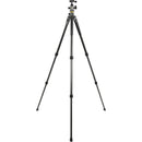 Vanguard Alta Pro 2+ Carbon Fiber Tripod with BH-100 Ball Head