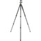 Vanguard Alta Pro 2+ Carbon Fiber Tripod with BH-100 Ball Head