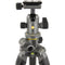 Vanguard Alta Pro 2+ Carbon Fiber Tripod with BH-100 Ball Head