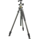 Vanguard Alta Pro 2+ Carbon Fiber Tripod with BH-100 Ball Head