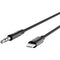 Belkin 3.5mm Audio to Lightning Cable (6', Black)