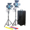 CAME-TV 2 x 650W Tungsten Fresnel Lights