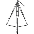 Sirui BCT-2003 Aluminum Tripod & BCH-10 Video Head Bundle