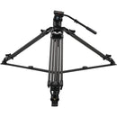 Sirui BCT-2203 Carbon Fiber Tripod & BCH-10 Video Head Bundle