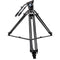 Sirui BCT-3002 Aluminum Tripod & BCH-30 Video Head Bundle