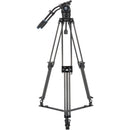 Sirui BCT-3203 Carbon Fiber Tripod & BCH-30 Video Head Bundle