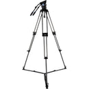 Sirui BCT-3203 Carbon Fiber Tripod & BCH-30 Video Head Bundle