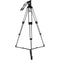 Sirui BCT-3203 Carbon Fiber Tripod & BCH-30 Video Head Bundle